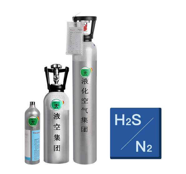 硫化氢标准气体H2S/N2